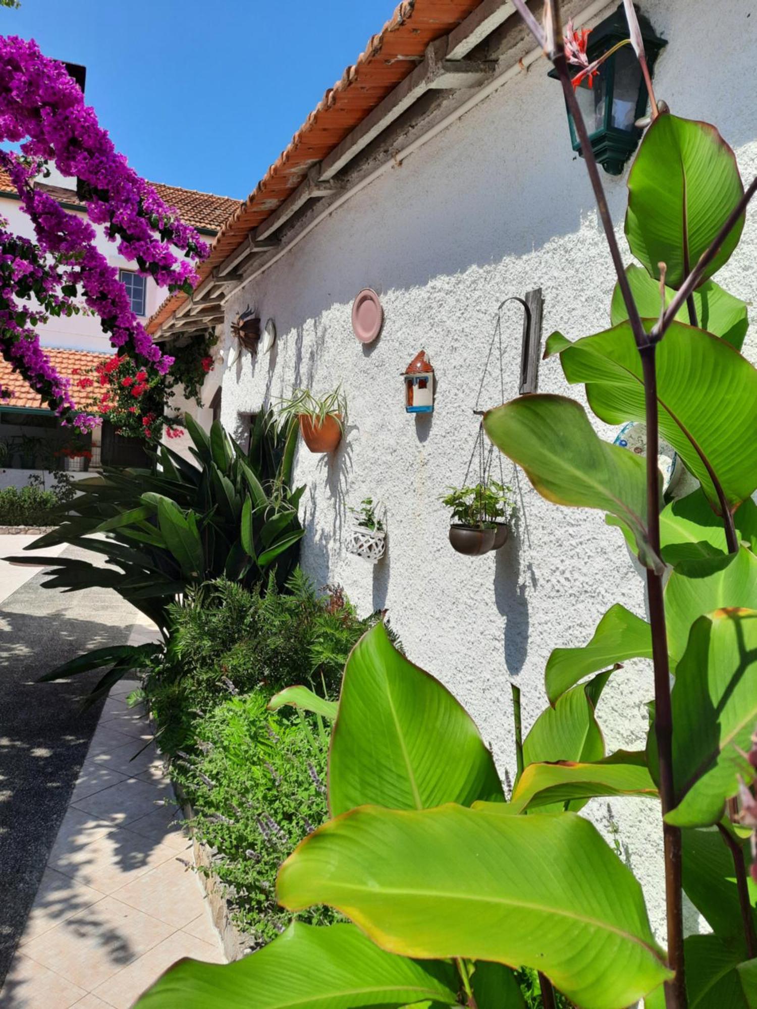 Cabecos Qm - Quinta Da Morgadinha - Casa Em Quinta Rural 빌라 외부 사진